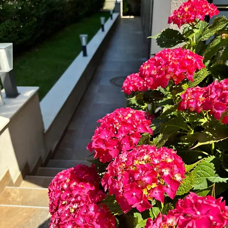 Melia Mar Casa de hóspedes Sozopol