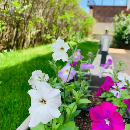 Melia Mar Casa de hóspedes